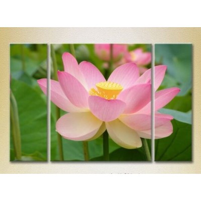 Pictură Gallerix Triptych Lotus pink 02 (2699500)