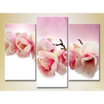 Pictură Gallerix Triptych Magnolia 01 (2699550)