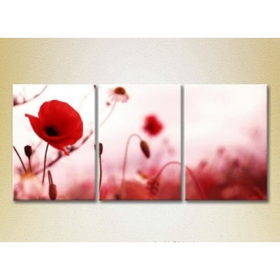 Pictură Gallerix Triptych Poppies (2699488)