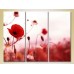 Pictură Gallerix Triptych Poppies 01 (2699498)