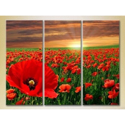 Pictură Gallerix Triptych Poppy Field 01 (2699496)