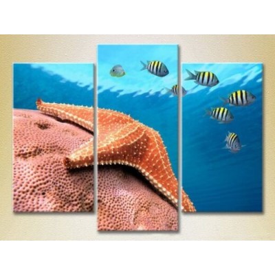 Pictură Gallerix Triptych Starfish at depth 01 (2180938)