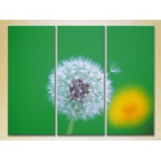 Pictură Gallerix Triptych Dandelion on a green background (2699491)