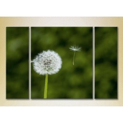 Картина Gallerix Triptych Dandelion 02 (2699549)