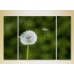 Картина Gallerix Triptych Dandelion 02 (2699549)