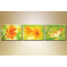 Pictură Gallerix Triptych orange gerberas (1409861)