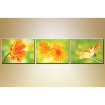 Картина Gallerix Triptych orange gerberas (1409861)