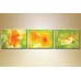 Картина Gallerix Triptych orange gerberas (1409861)