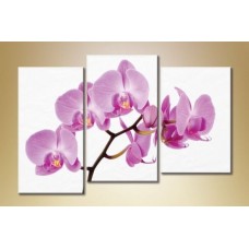 Pictură Gallerix Triptych Orchids 2 (1612530)