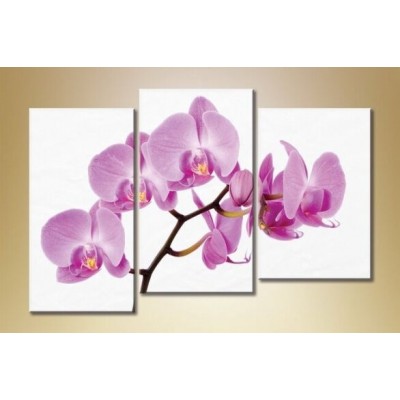 Pictură Gallerix Triptych Orchids 2 (1612530)