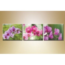 Pictură Gallerix Triptych Orchids 7 (1612531)