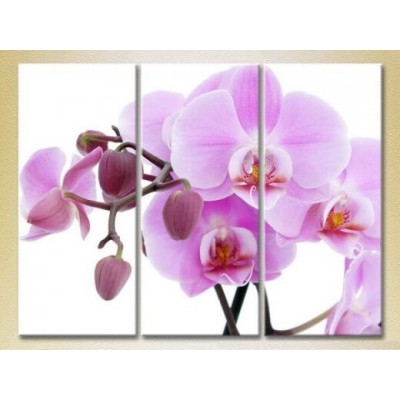 Pictură Gallerix Triptych Orchids lilac with buds (2699484)