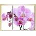 Pictură Gallerix Triptych Orchids lilac with buds (2699484)