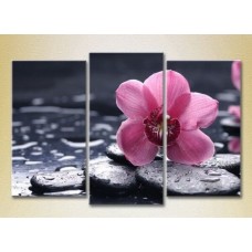 Pictură Gallerix Triptych Orchid Purple 01 (2699558)