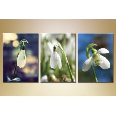 Pictură Gallerix Triptych Snowdrops (1409849)