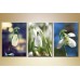 Pictură Gallerix Triptych Snowdrops (1409849)