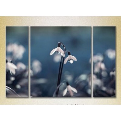 Pictură Gallerix Triptych Snowdrops 02 (2699462)