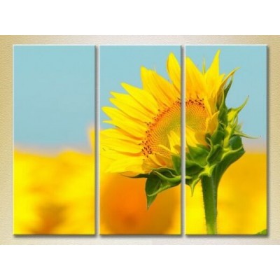 Pictură Gallerix Triptych Sunflower (2699483)