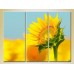 Pictură Gallerix Triptych Sunflower (2699483)