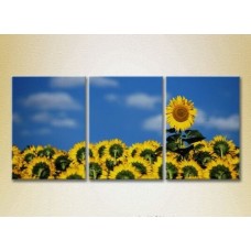 Pictură Gallerix Triptych Sunflower Field (2699466)