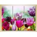 Pictură Gallerix Triptych Field of colorful tulips (2699480)