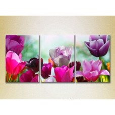 Pictură Gallerix Triptych Field of colorful tulips 01 (2699477)