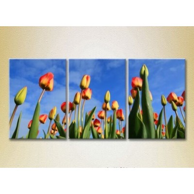 Pictură Gallerix Triptych Tulip Field 01 (2699470)