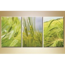 Pictură Gallerix Triptych wheat field (1409850)