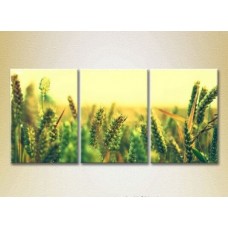 Pictură Gallerix Triptych Wheat Field 02 (2699541)