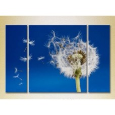 Pictură Gallerix Triptych Flying Dandelion 01 (2699472)