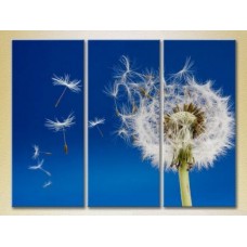 Pictură Gallerix Triptych Flying Dandelion 02 (2699471)