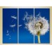 Pictură Gallerix Triptych Flying Dandelion 02 (2699471)