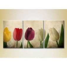 Pictură Gallerix Triptych Multicolored tulips (2699561)