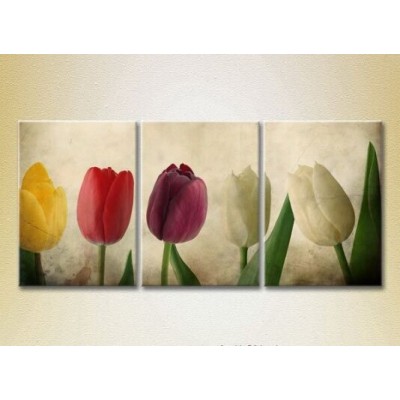 Pictură Gallerix Triptych Multicolored tulips (2699561)