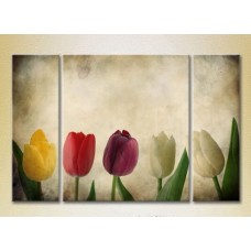 Pictură Gallerix Triptych Multicolored Tulips 01 (2699456)