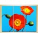 Pictură Gallerix Triptych Blooming Poppy (2699473)