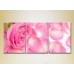 Pictură Gallerix Triptych Pink rose and petals (2699468)