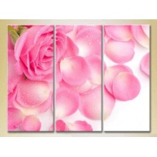 Pictură Gallerix Triptych Pink Rose and Petals 01 (2699529)