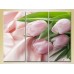 Картина Gallerix Triptych Pink tulips on silk fabric (2699463)