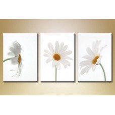 Pictură Gallerix Triptych Daisies 03 (1612515)