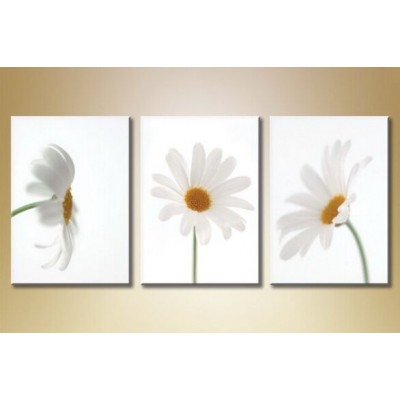 Pictură Gallerix Triptych Daisies 03 (1612515)