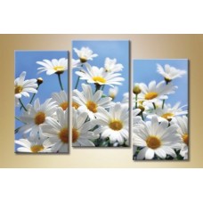 Pictură Gallerix Triptych Daisies 04 (1612523)