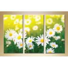 Pictură Gallerix Triptych daisies 05 (1409852)