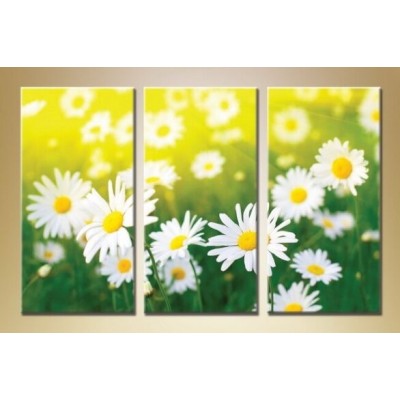 Pictură Gallerix Triptych daisies 05 (1409852)