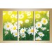 Pictură Gallerix Triptych daisies 05 (1409852)