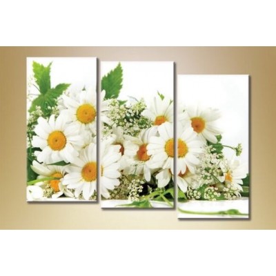 Pictură Gallerix Triptych Daisies 07 (1612526)