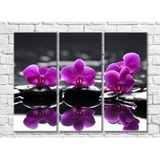 Pictură Gallerix Triptych with purple orchids on black stones (500728)