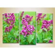 Pictură Gallerix Triptych Lilac 02 (2699559)