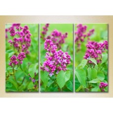 Pictură Gallerix Triptych Lilac 03 (2699543)