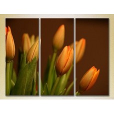 Pictură Gallerix Triptych Tulips (2699460)